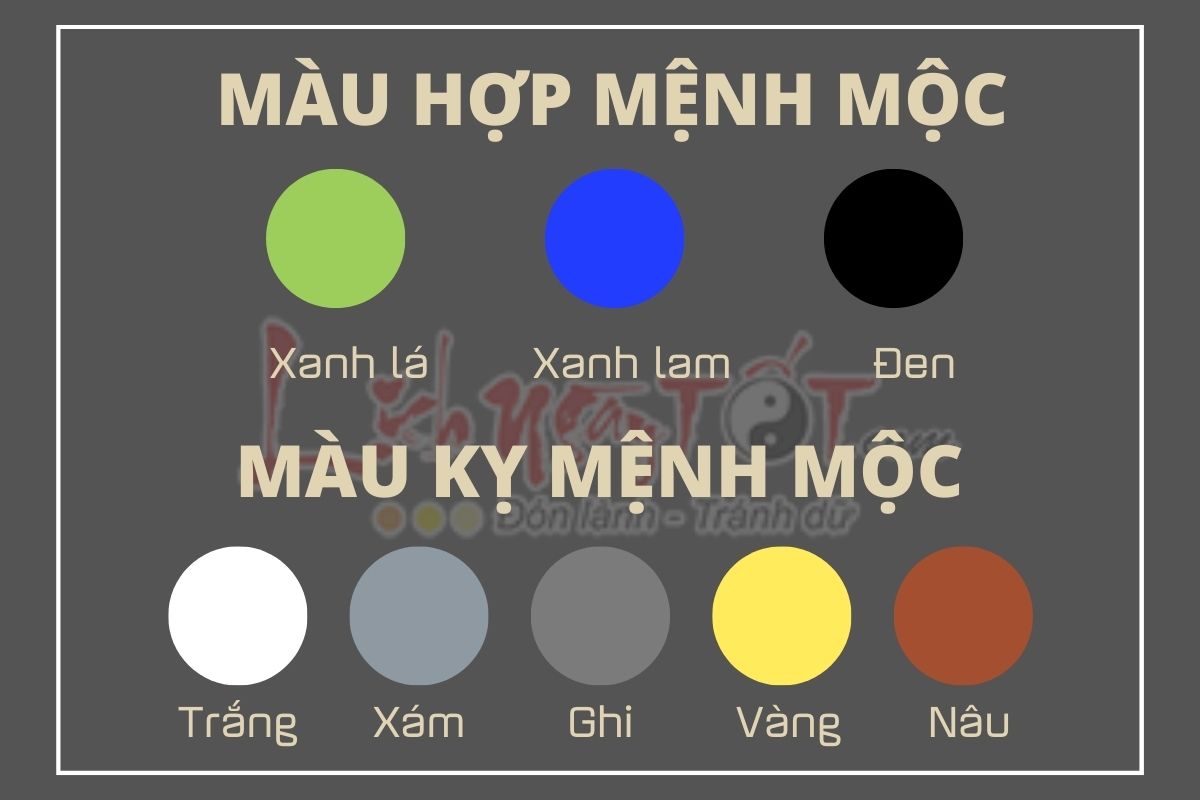 mau-tran-hop-menh-moc